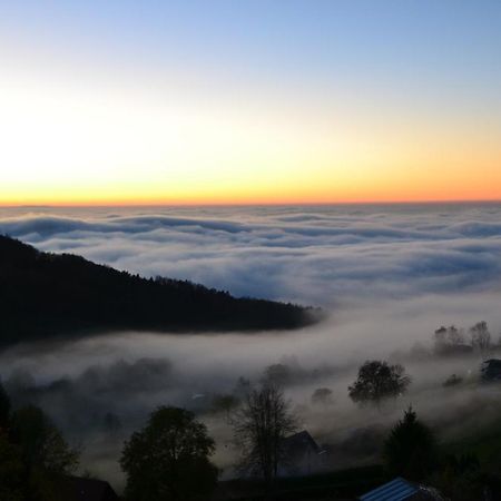 Apartmán Bergweide 36 Sasbachwalden Exteriér fotografie