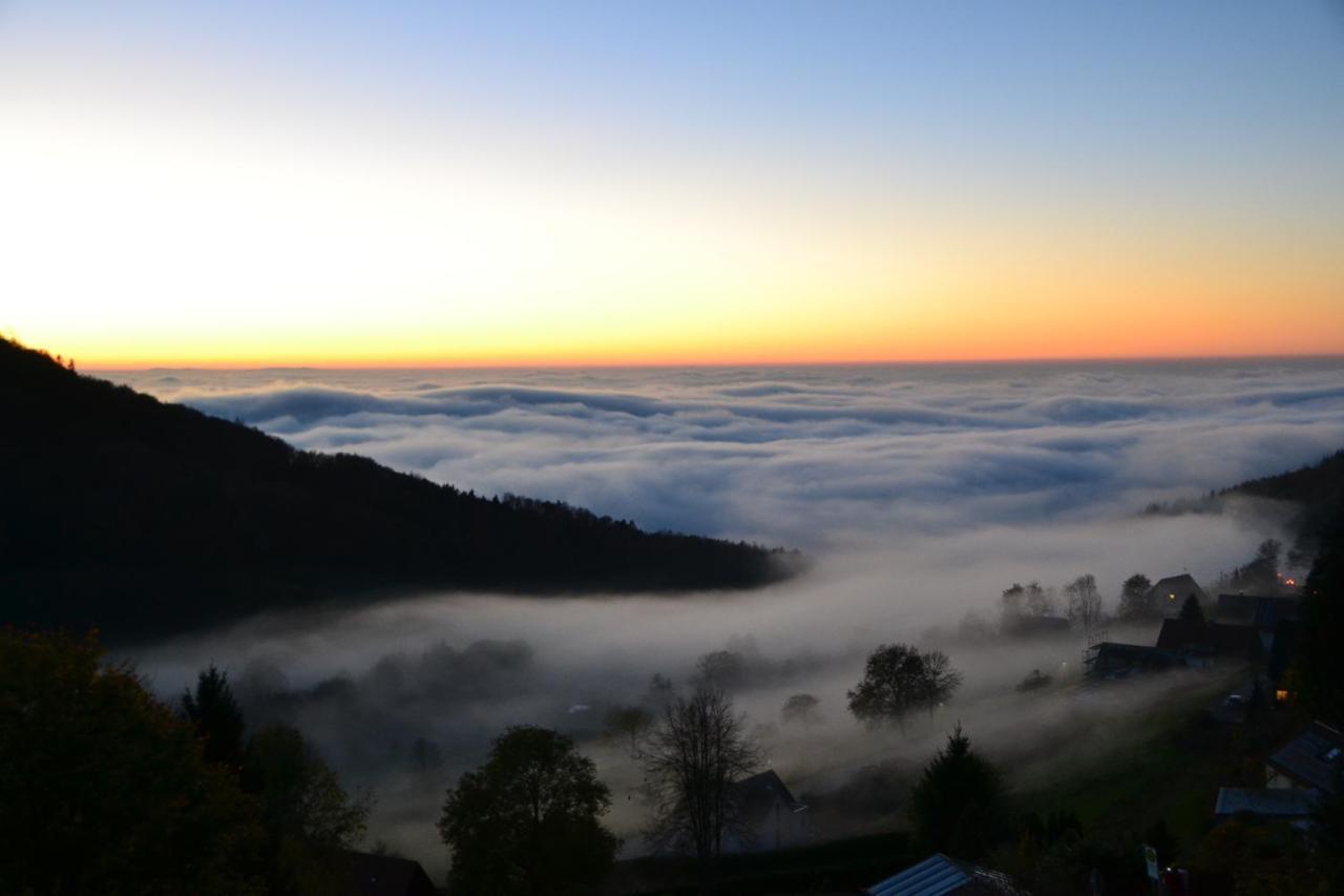 Apartmán Bergweide 36 Sasbachwalden Exteriér fotografie