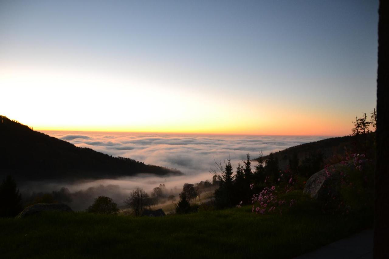 Apartmán Bergweide 36 Sasbachwalden Exteriér fotografie